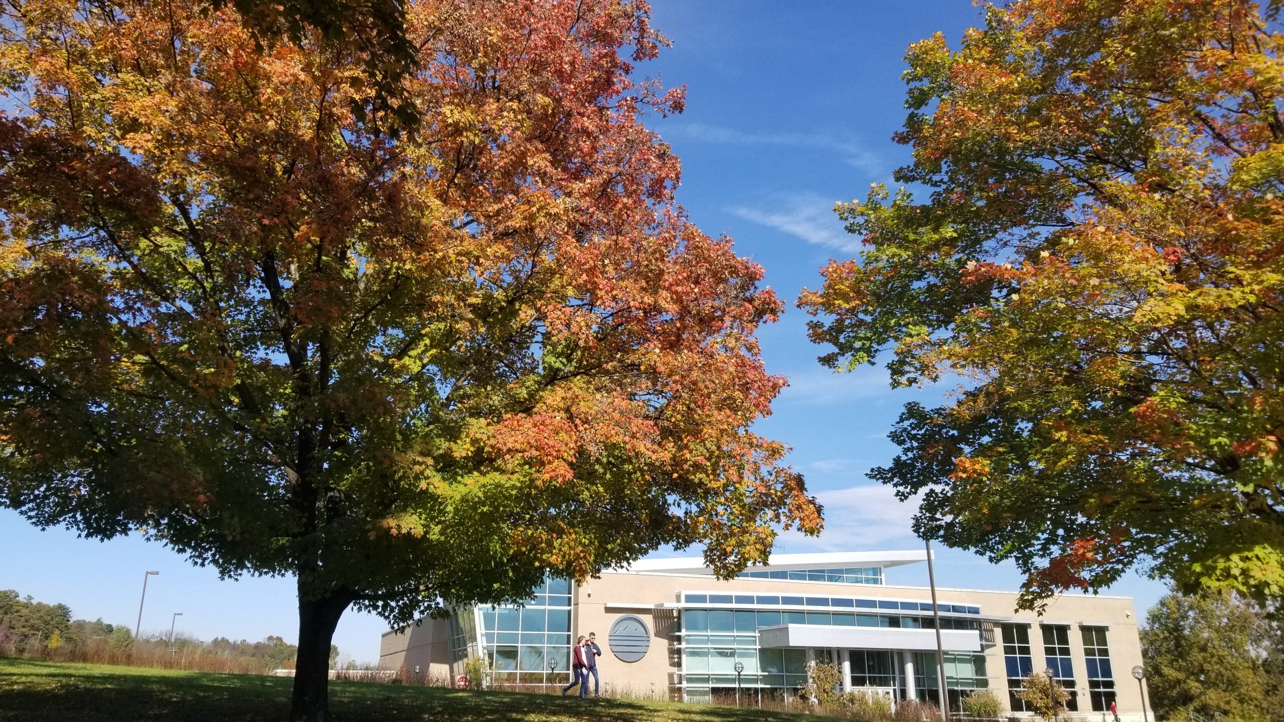 rec center and trees