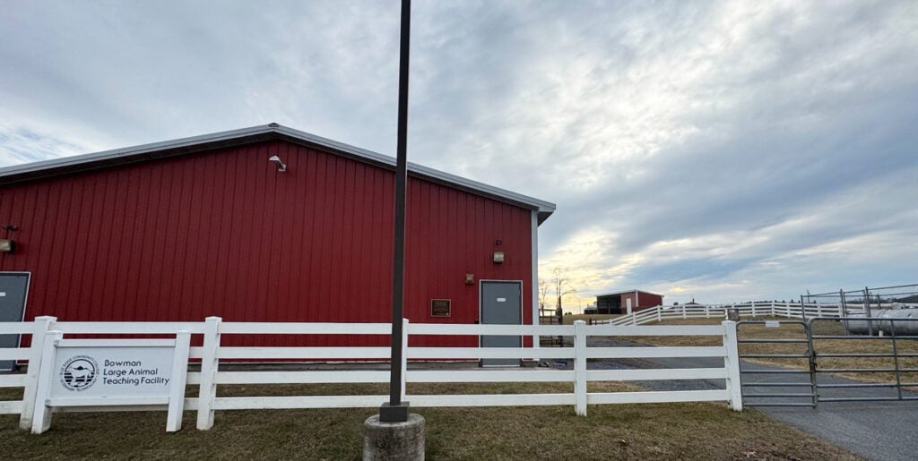 Bowman Barn with white fence surrounding it