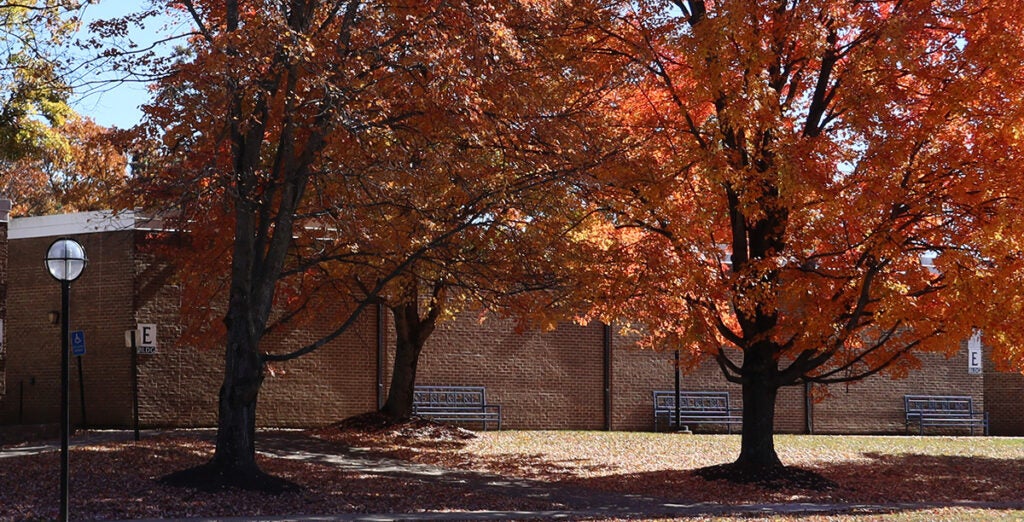 E Building as seen from the commons, with fall foliage