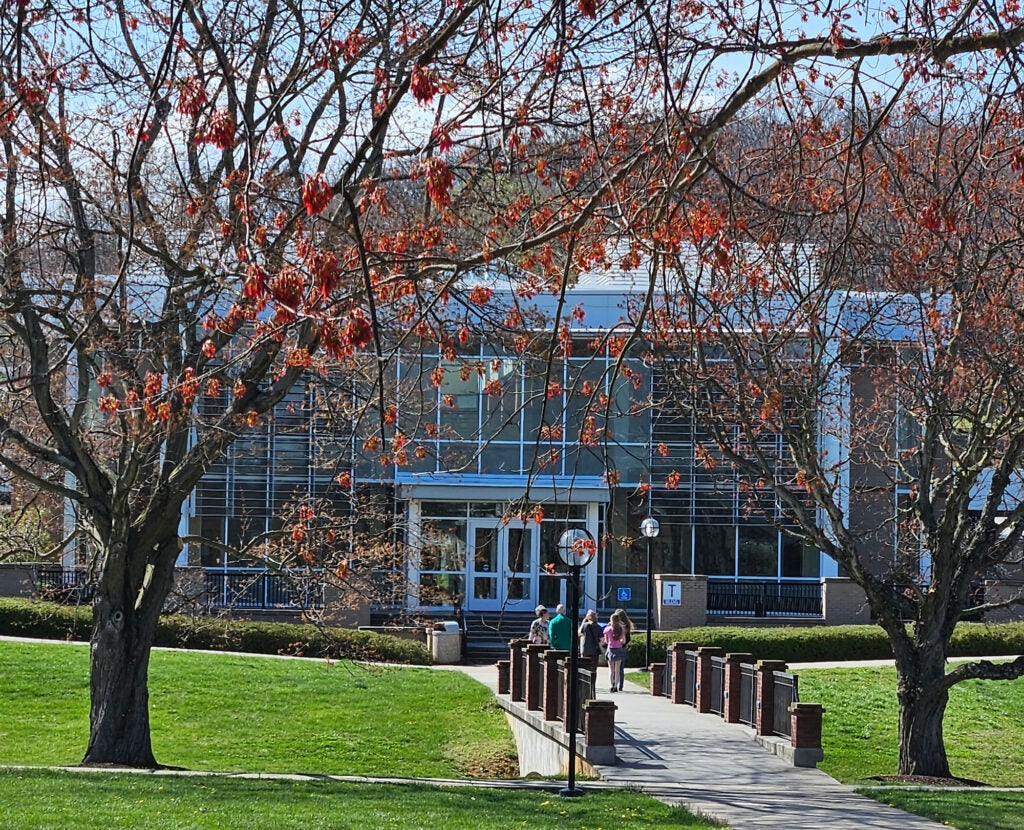 T building view from the walking bridge, partially obscured by spring foliage