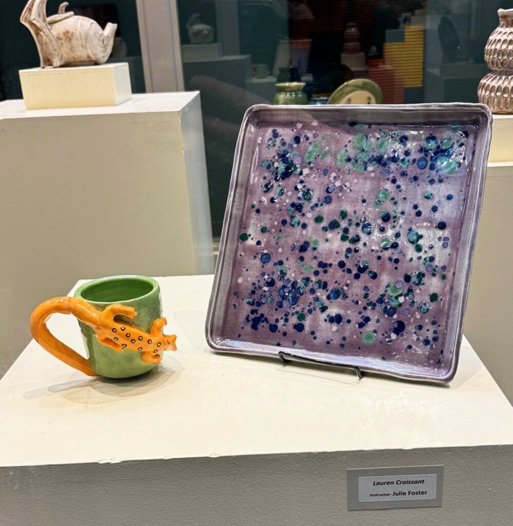 small green cup with orange newt, large rectangular purple platter